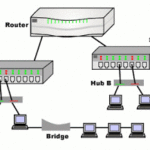 Hub or Switch or Router?